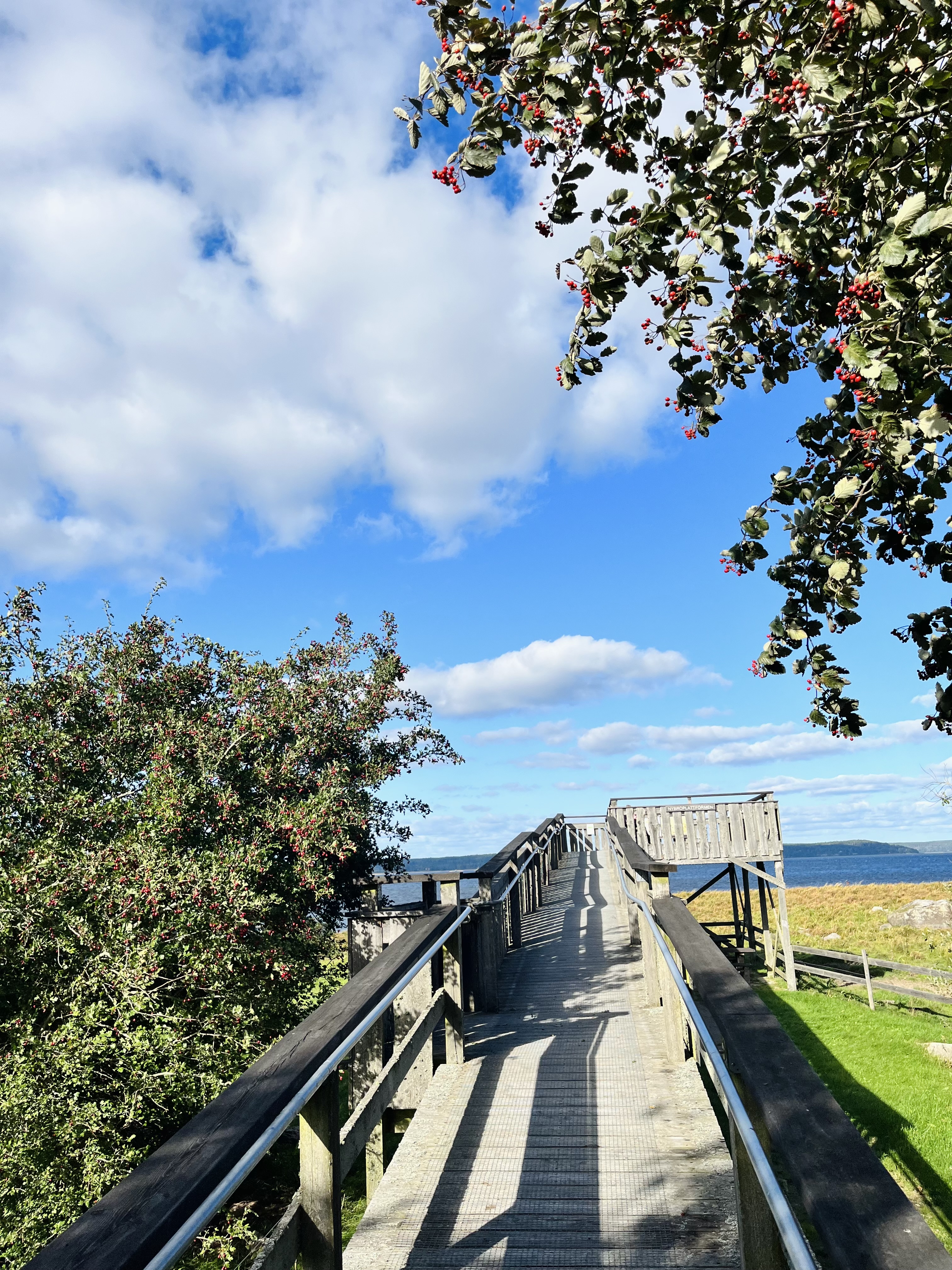 Svartåmynningens naturreservat