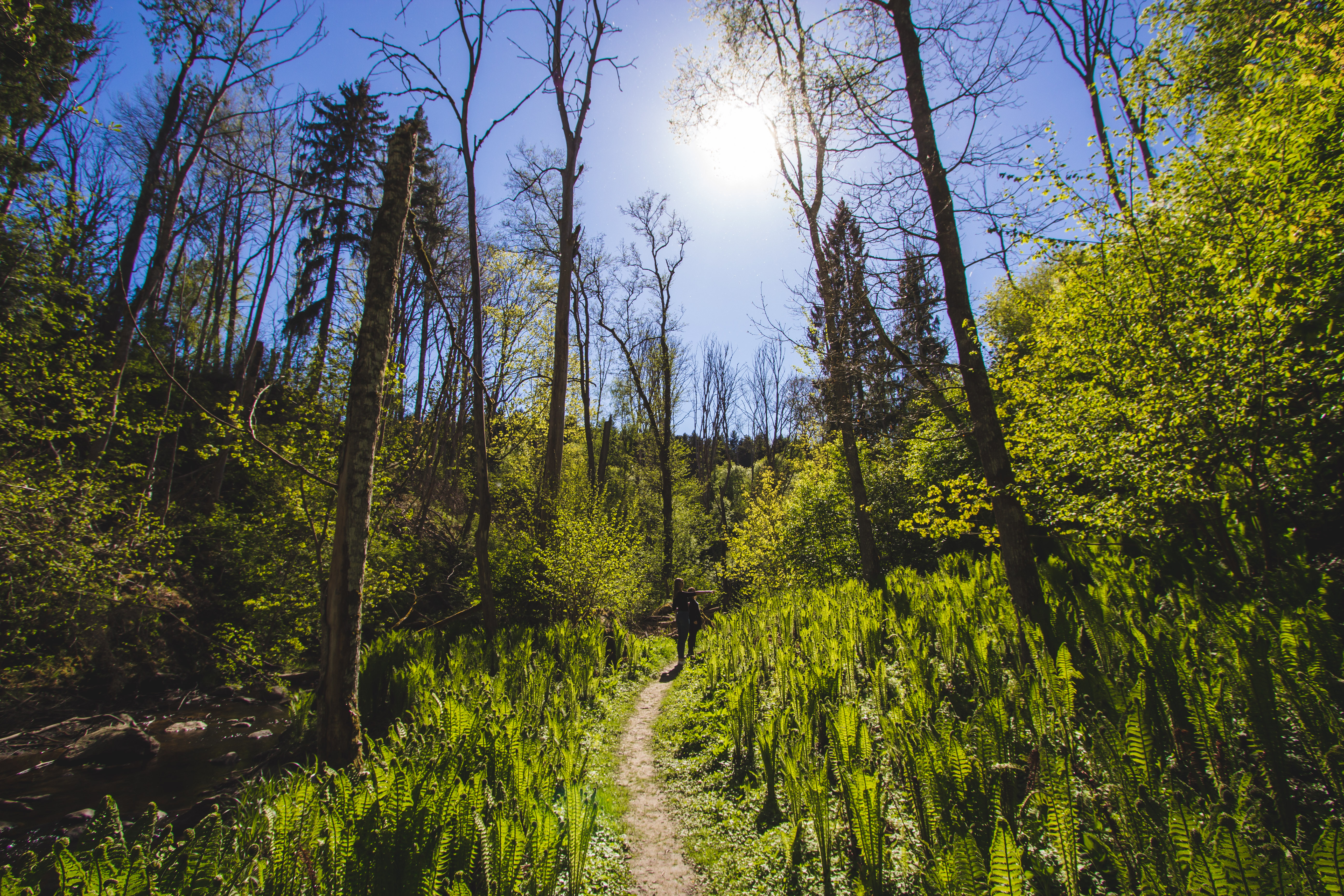 Stjärnorpsravinen