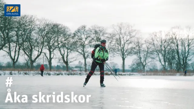 Visningsbild Åka skridskor