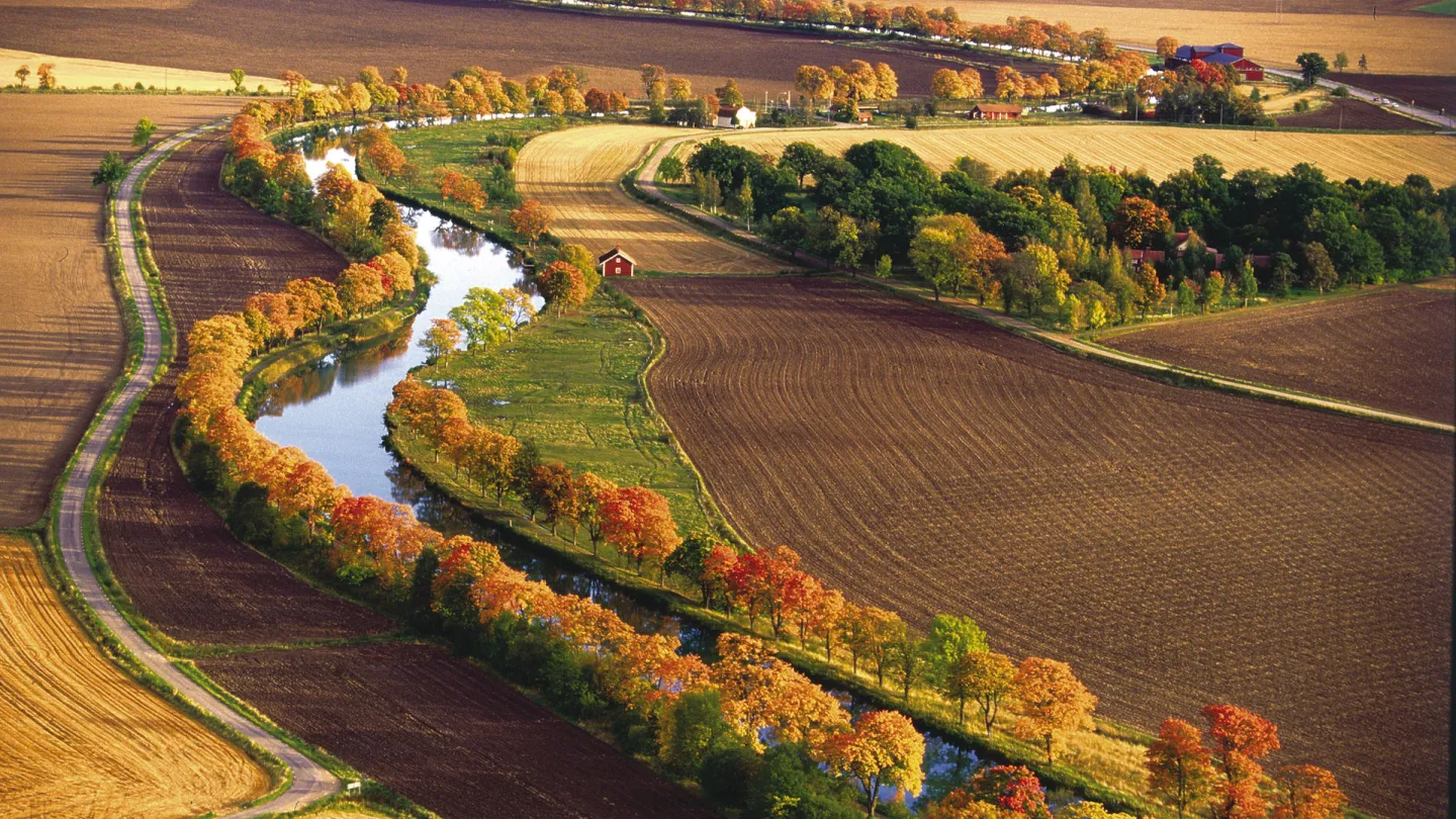 Trädallén längs Göta kanal i höstfärger